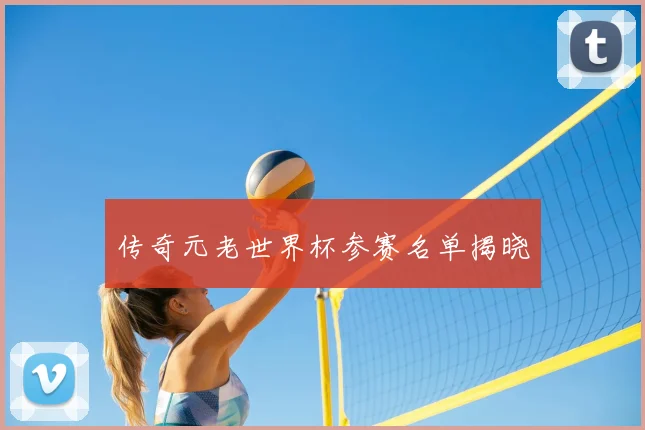 传奇元老世界杯参赛名单揭晓