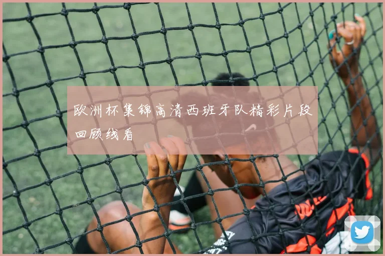 欧洲杯集锦高清西班牙队精彩片段回顾线看