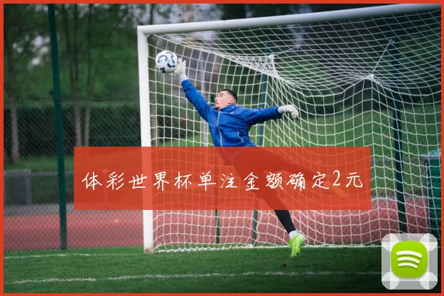 体彩世界杯单注金额确定2元