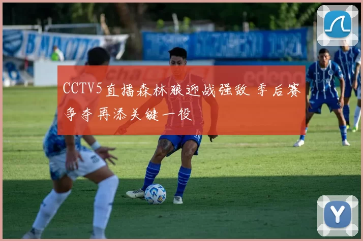 CCTV5直播森林狼迎战强敌 季后赛争夺再添关键一役